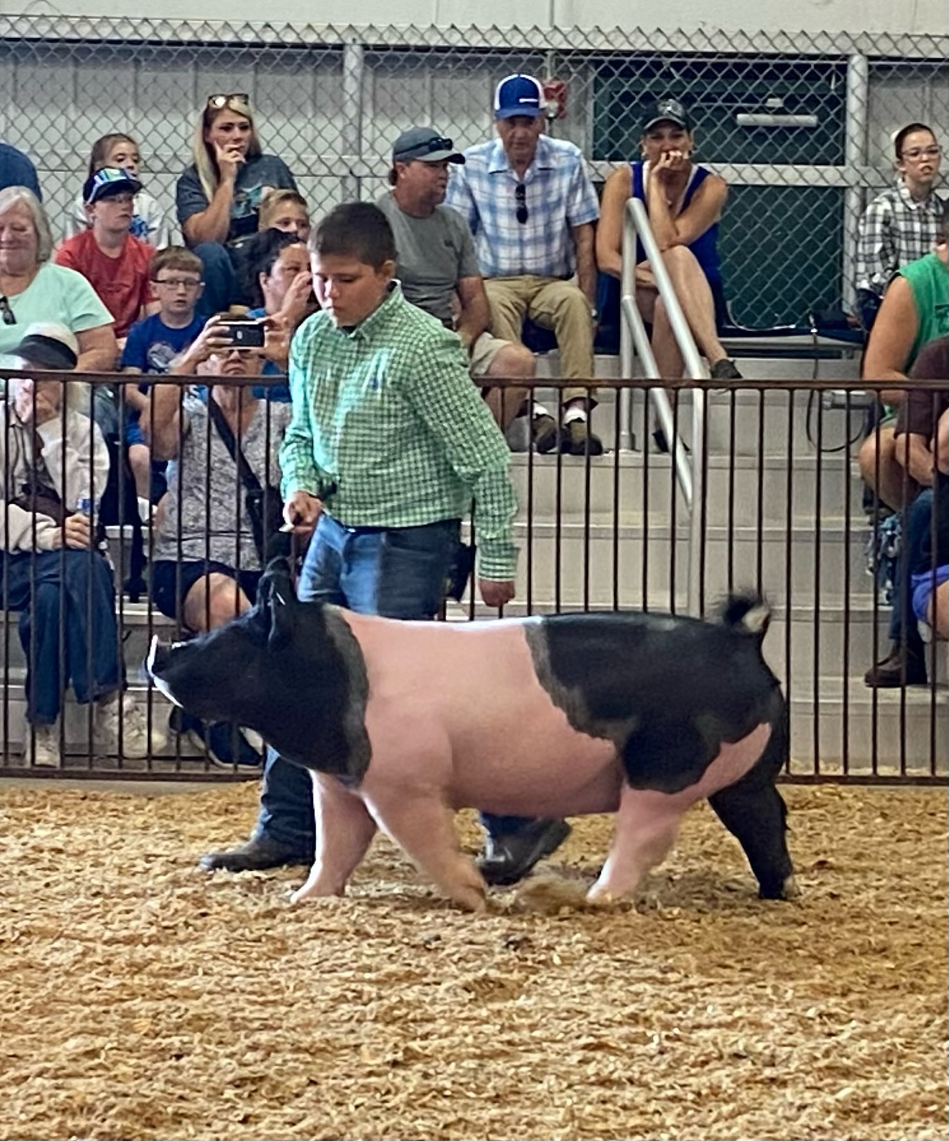 4-H Sponsor